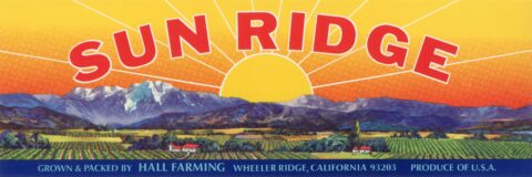 Sun Ridge